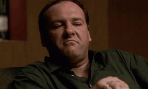 The Sopranos Tony Soprano GIF - The Sopranos Tony Soprano Nothing - Discover & Share GIFs in ...