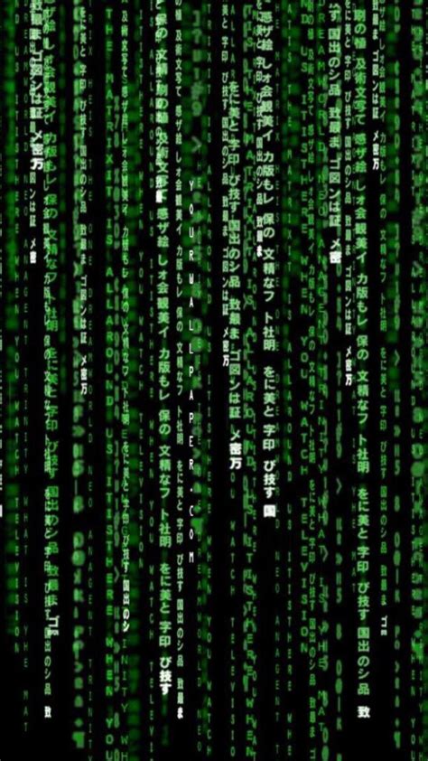 18 Matrix iPhone Wallpapers - Wallpaperboat