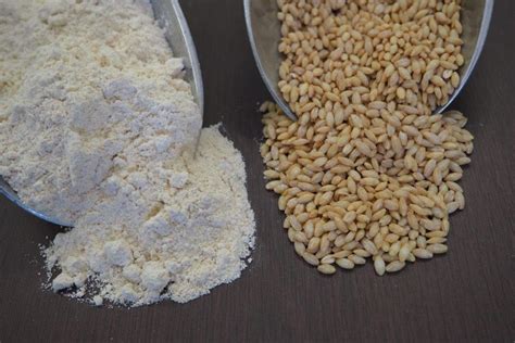 Barley Flour (300g) - Four Leaf Milling