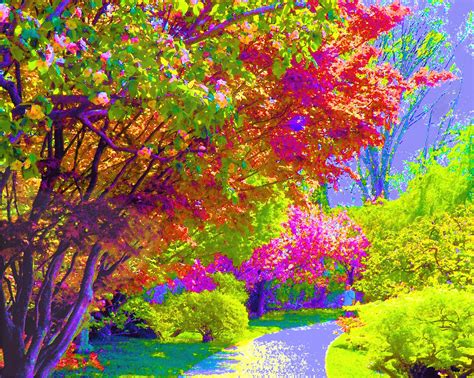 Colorful Trees In Spring Painting by Susanna Katherine