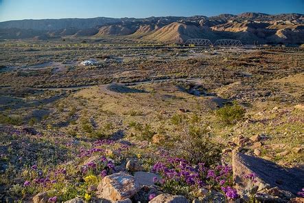 Mojave Trails National Monument, California - Recreation.gov