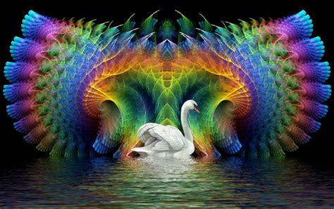 🔥 [50+] Swan Lake Wallpapers | WallpaperSafari