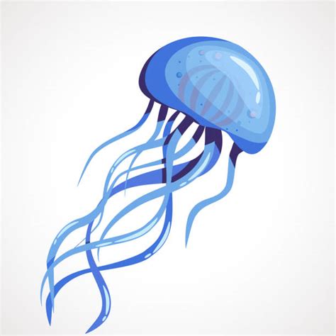 Jellyfish Illustrations, Royalty-Free Vector Graphics & Clip Art - iStock