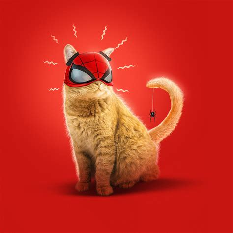 2932x2932 Resolution Spider Cat Spider-Man Miles Morales Art Ipad Pro Retina Display Wallpaper ...