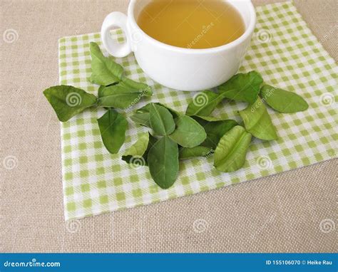 Tea With Dried Kaffir Lime Leaves Royalty-Free Stock Photo ...