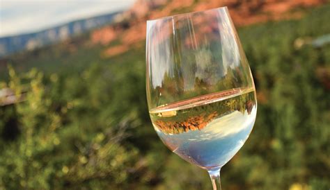 Four Northern Arizona Wines You Need To Try Today | Sedona Monthly