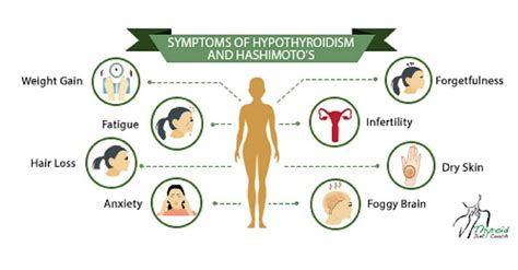 Symptoms of Hypothyroidism and Hashimoto's Disease