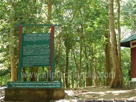 Nilambur Canolly Plot, world's first teak plantation, hanging bridge, Nilambur, Malappuram, Thrissur