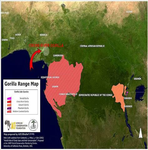 2: Gorillas range map indicating the location of the Cross River ...