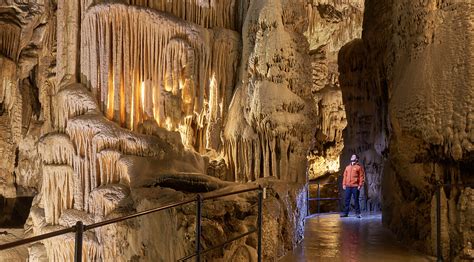 Two Adventures » Postojna Cave Park - Welcome to the official website