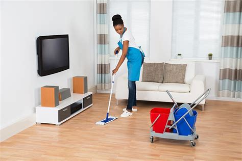 How to Start a House Cleaning Business in 2024 - Broadly.com