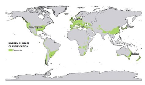 What Are the 5 Koppen Climate Classification Types? - Earth How