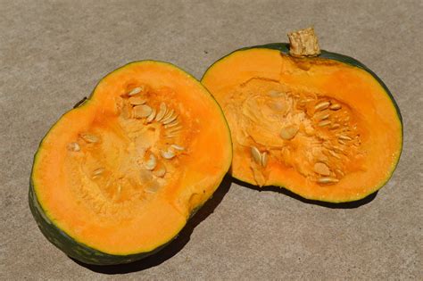 Kabocha Squash Seeds - Etsy Canada