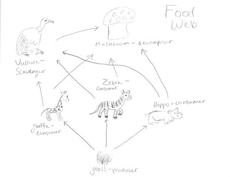 Species Interactions - Hippopotamus