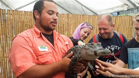 Everglades Holiday Park: Touring the Everglades on an Airboat