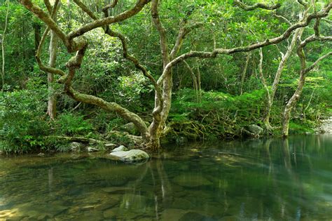 Brunei Darussalam: Nature-Based Tourism - Asean tourism