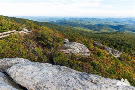 Blue Ridge Parkway: our favorite hikes near Asheville, NC