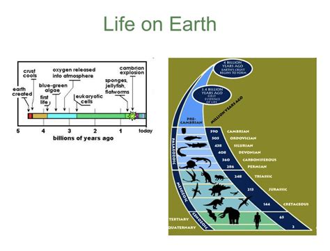 Evolution of the Earth - INSIGHTS IAS - Simplifying UPSC IAS Exam Preparation