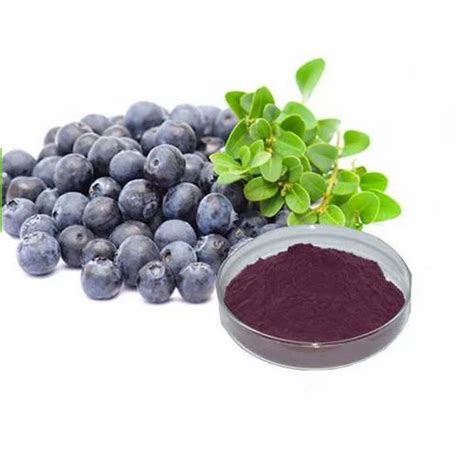 Acai Berry Extracts at Best Price in India