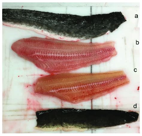 Skin and fillet of FM100 and SP100-fed fish after 10 weeks of... | Download Scientific Diagram