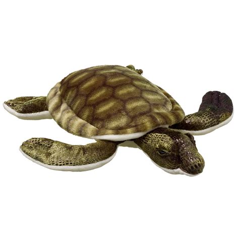 Adopt a Green Turtle | Symbolic Adoptions from WWF