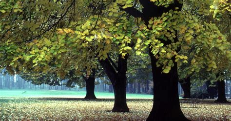 Columbia Park and Annex | Portland.gov