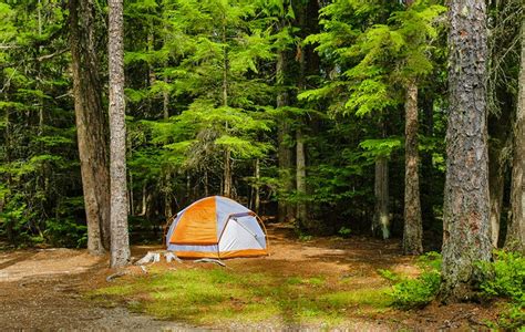 17 Top-Rated Campgrounds in Glacier National Park, MT | PlanetWare