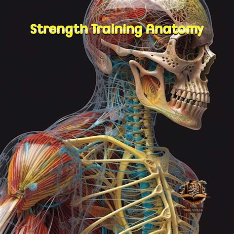 Strength Training Anatomy: Your Detailed Guide to Understanding Muscle ...