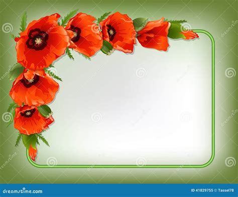 Red Poppies Floral Frame, Vector Stock Vector - Image: 41829755