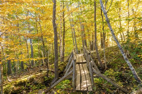 Premium Photo | Beautiful fall colors of acadia national park