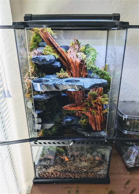 Just finished my first Vivarium today. Fully bioactive too. : r/Vivarium