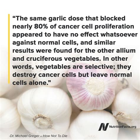 The Benefits Of Garlic Powder - health benefits