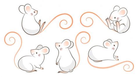 Premium Vector | Set of hand drawn rats, mouse in different poses ...