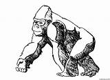 Gorilla Coloring Pages sketch template