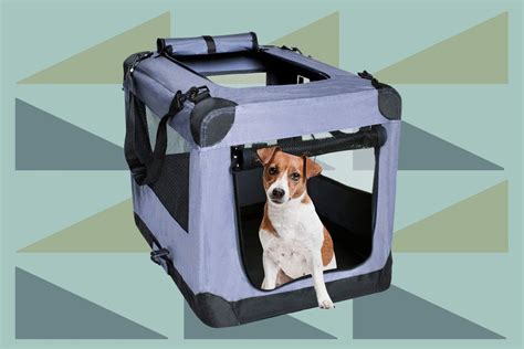 13 Best Dog Travel Crates