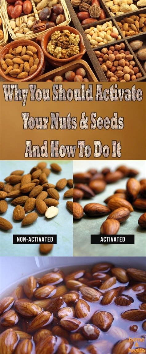 Nuts & seeds contain a lot of fiber, many healthy fats and have great nutritive value, that is ...