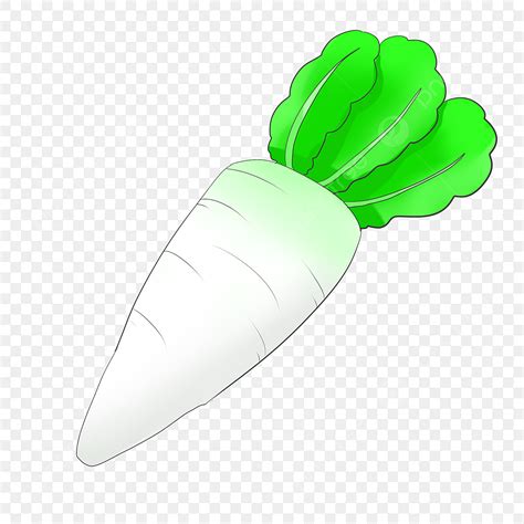 Turnip White PNG, Vector, PSD, and Clipart With Transparent Background for Free Download | Pngtree