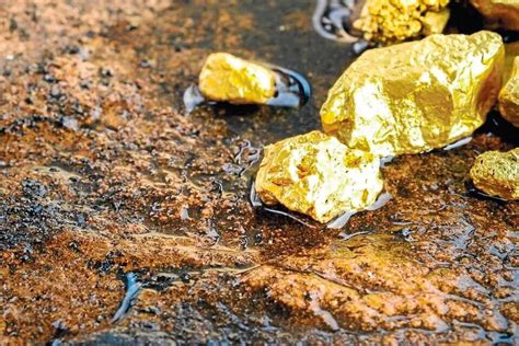 GoldMining Inc Captures Leverage On Gold Price Rally - Arcadia Economics