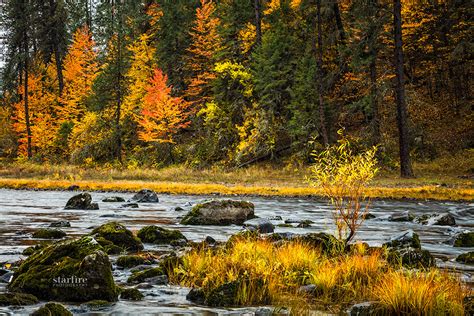 Autumn Along the Southfork of the Clearwater in Idaho :: Behance