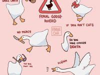 17 Desktop Goose ideas | funny memes, gaming memes, goose