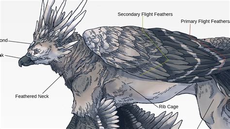 FerAdami on Twitter: "Mythical Diamonds -- White Diamond Anatomy ~ Complete project: https://t ...