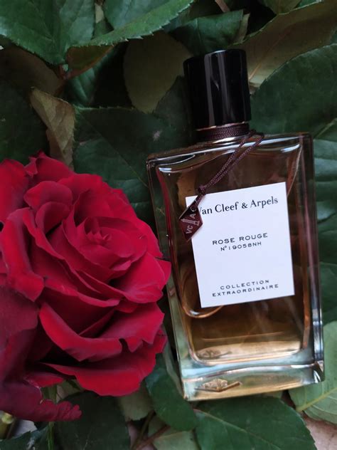 Rose Rouge Van Cleef & Arpels perfume - a fragrance for women and men 2018