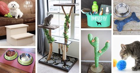 24 Best DIY Pet Ideas and Projects for 2024