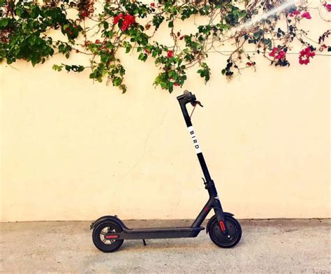 What You Need to Know About Bird Electric Scooters - Baltimore Magazine