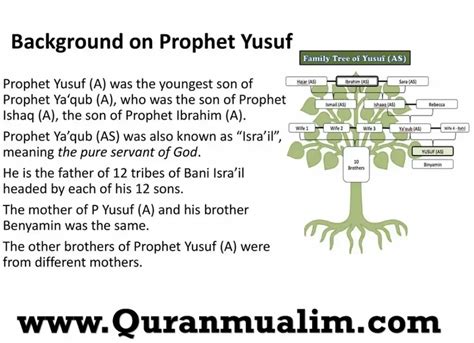 Complete Story of The Prophet Yusuf (عليه السلام) - Quran Mualim