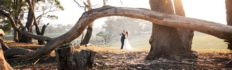 Lot 100 - Adelaide Wedding Venues