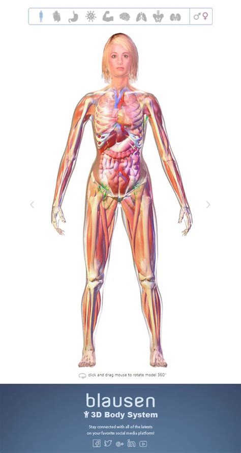 Teaching Resources: 3D 360-degree Interactive Body System [Video] | Body systems, Human body ...