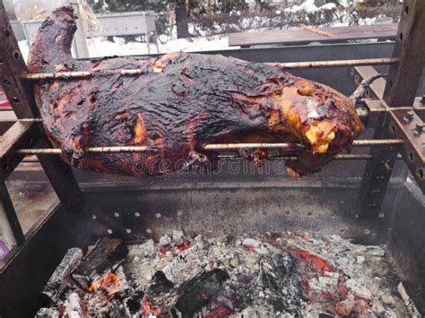 Sheep Meat is Fried on Charcoal Stock Image - Image of fried, cooking: 172905007