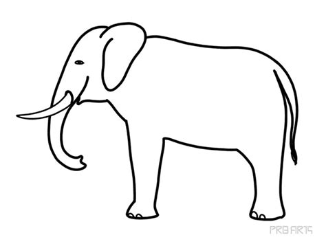 Elephant Standing in the Side View - Drawing Tutorial - PRB ARTS