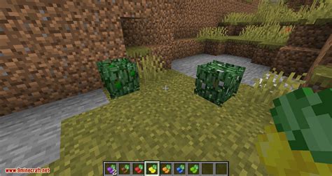 Berry Bushes Mod 1.15.2, 1.14.4 (Randomly Spawn Berry Bushes with ...